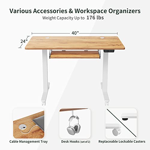 40 × 24 Inches Electric Height Adjustable Standing Desk P374