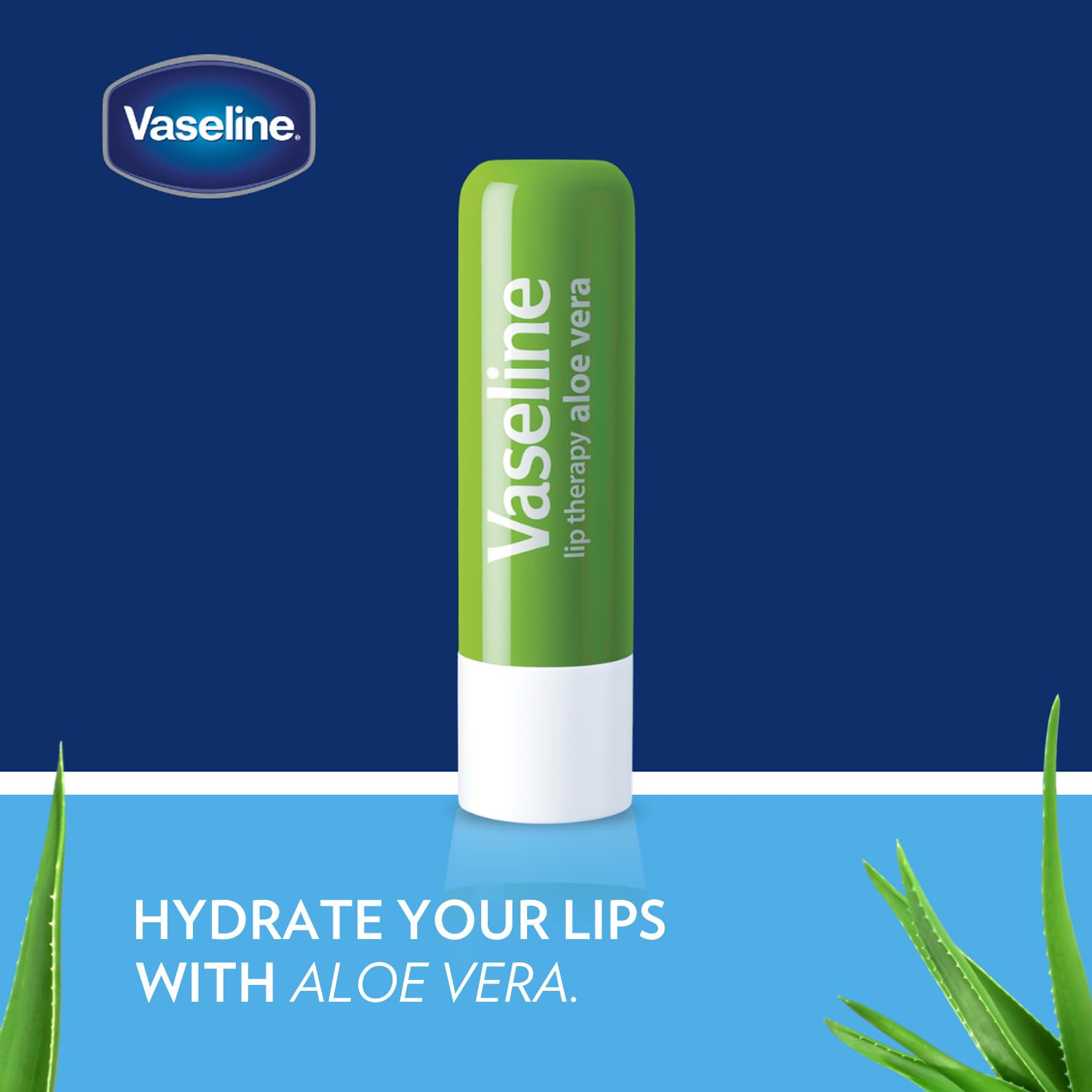 Lip Therapy Aloe Fresh Hydrating Lip Balm Pack, 0.16 Oz Each (Pack of 12) E24734