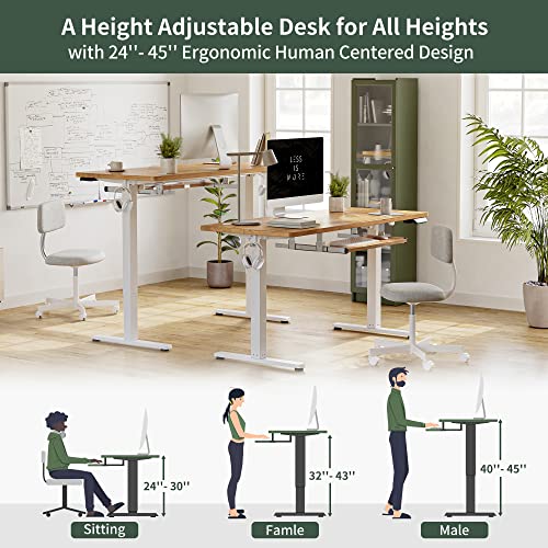 40 × 24 Inches Electric Height Adjustable Standing Desk P374