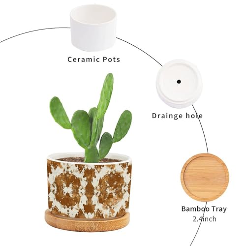 Blue And White Porcelain Ceramic Round Plant Pot with Drainage Holes And Bamboo Tray C9217