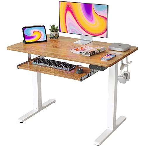 40 × 24 Inches Electric Height Adjustable Standing Desk P374