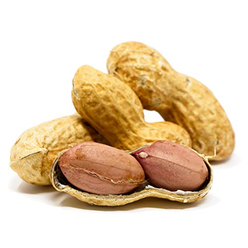 Raw Peanuts in Shell, 2.5 lb I926