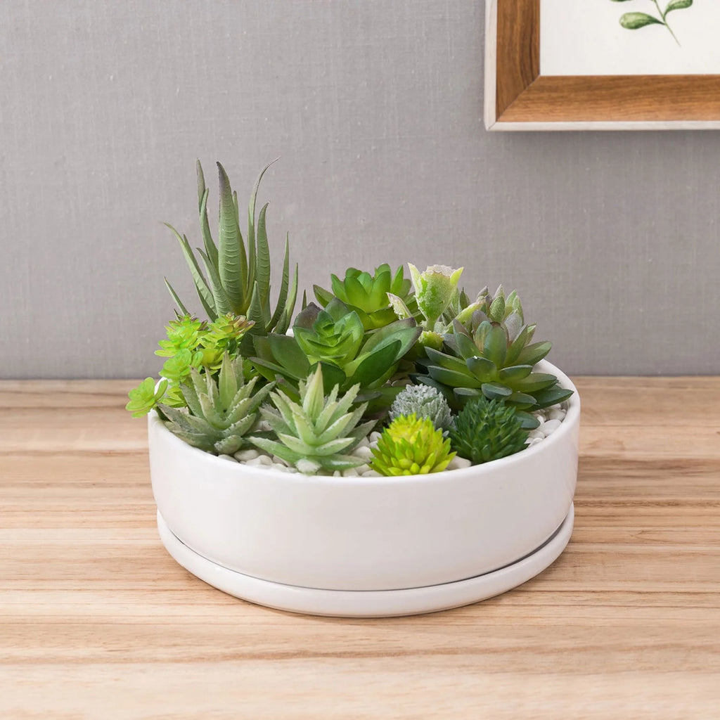 White Ceramic Round Succulent Planter W876645