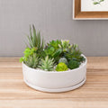 White Ceramic Round Succulent Planter W876645