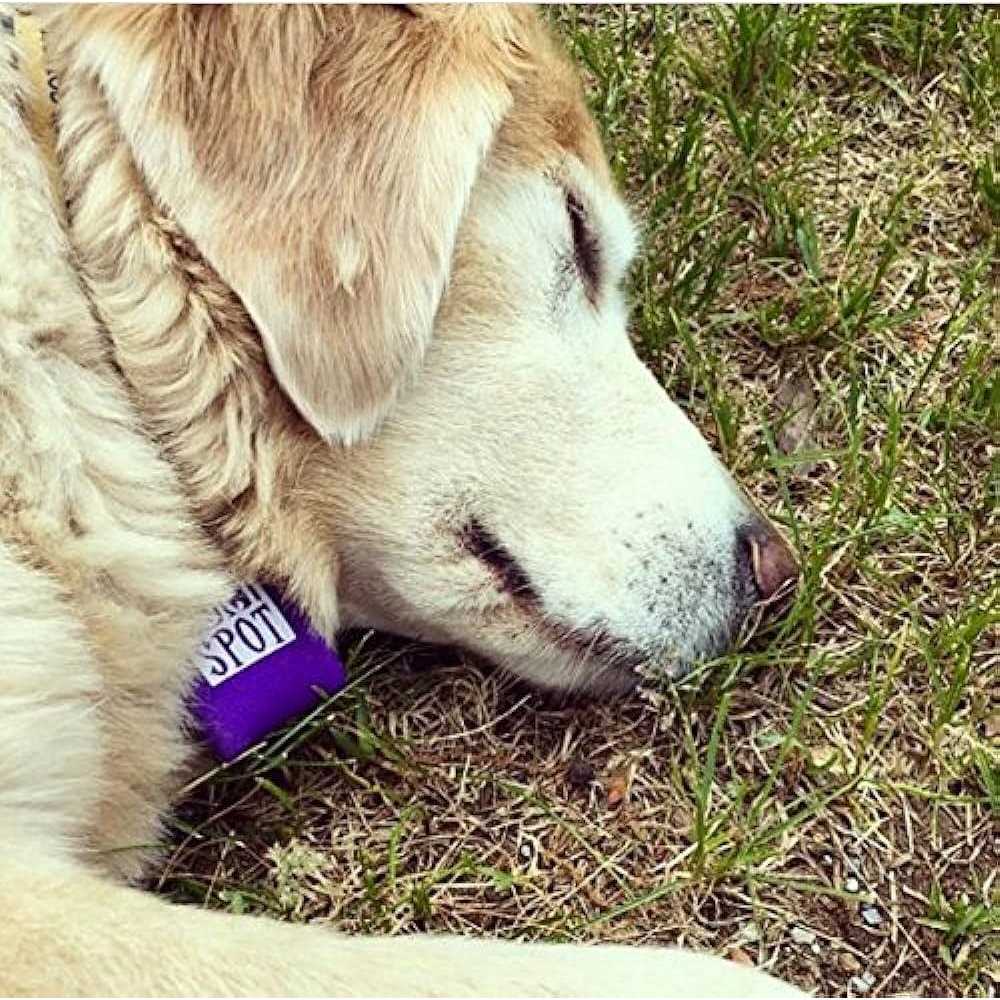 Pet Tag Silencer R58503