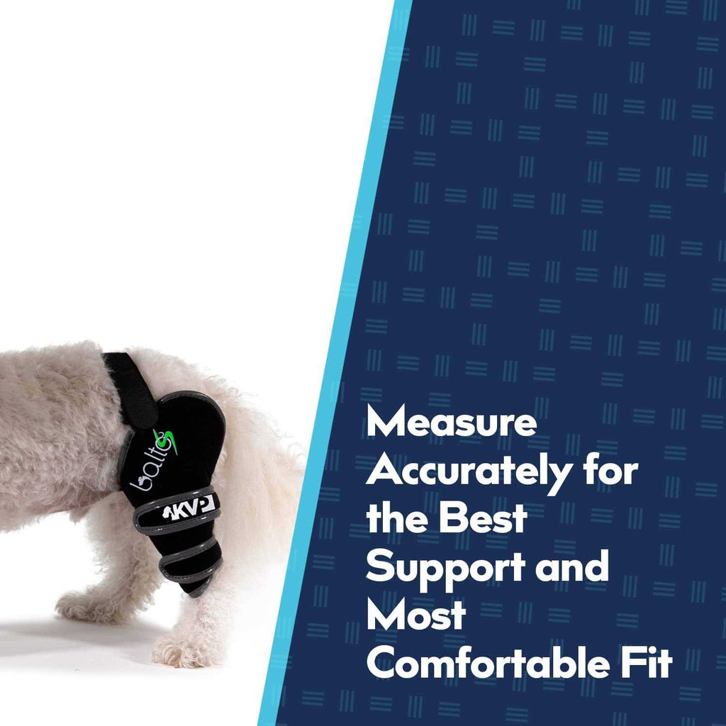 Knee Support for Dogs L6657
