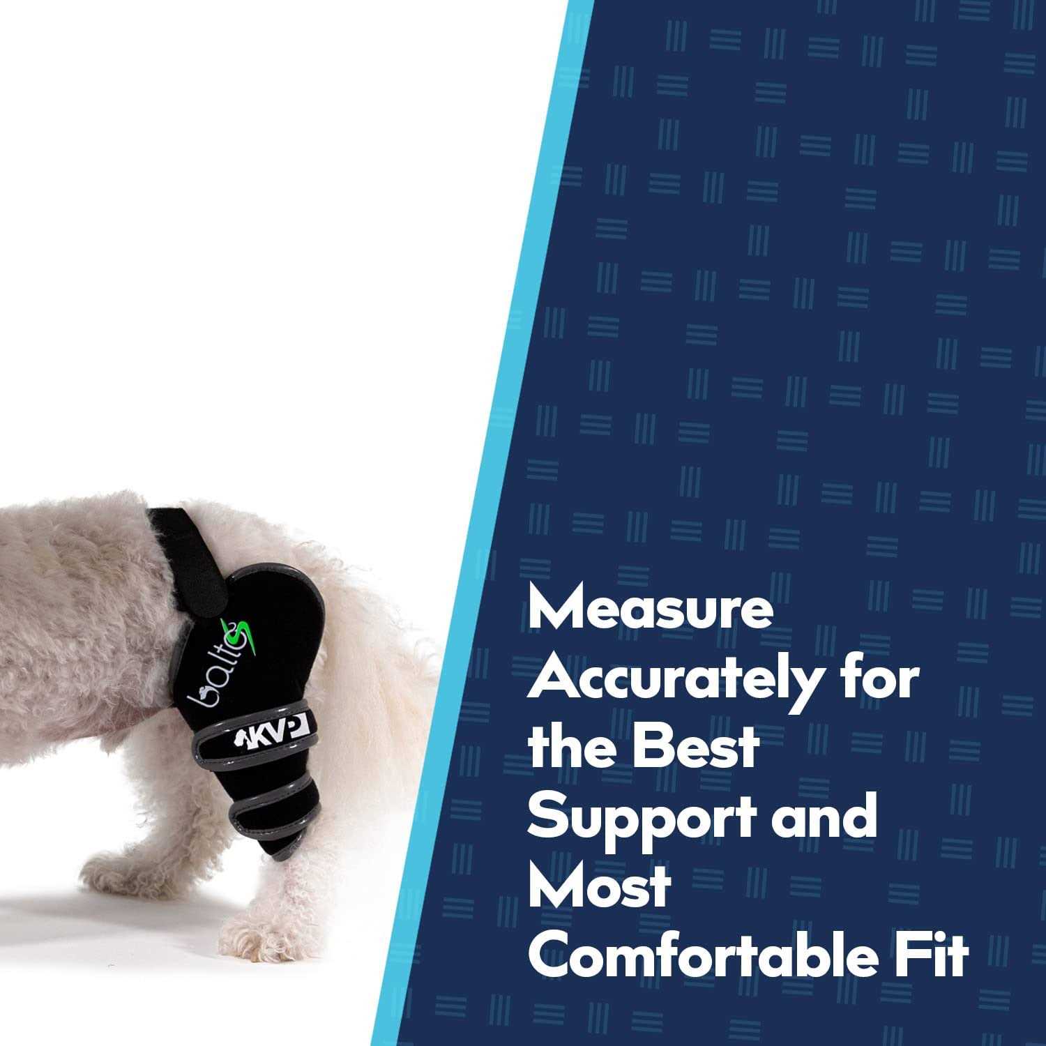 Knee Support for Dogs L6657