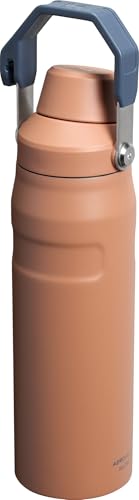 Insulated Stainless Steel Water Bottle with Angled Spout Lid O7037