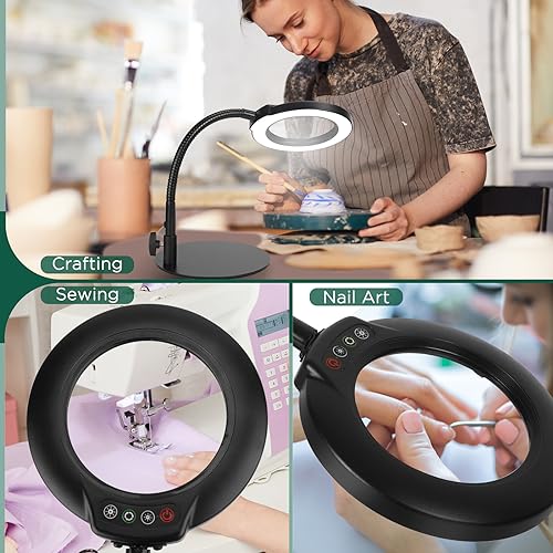 10X Magnifying Glass with Light and Stand, Flexible Gooseneck Magnifying Desk Lamp B9979