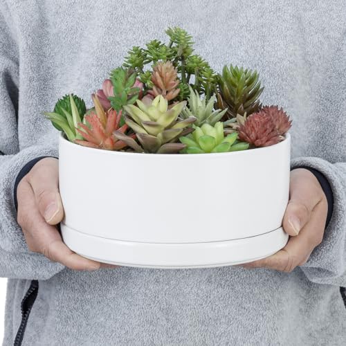 White Ceramic 7 Inch Plant Pot with Drainage Hole and Removable Tray L281
