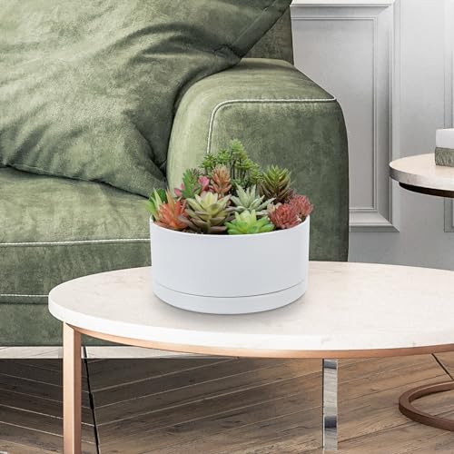 White Ceramic 7 Inch Plant Pot with Drainage Hole and Removable Tray L281