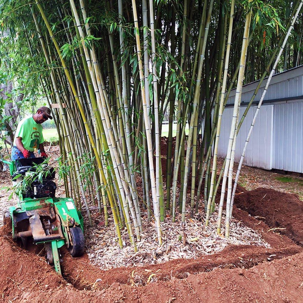 75 Feet Long x 24 inch x 60 Mil Bamboo Root Barrier O5627