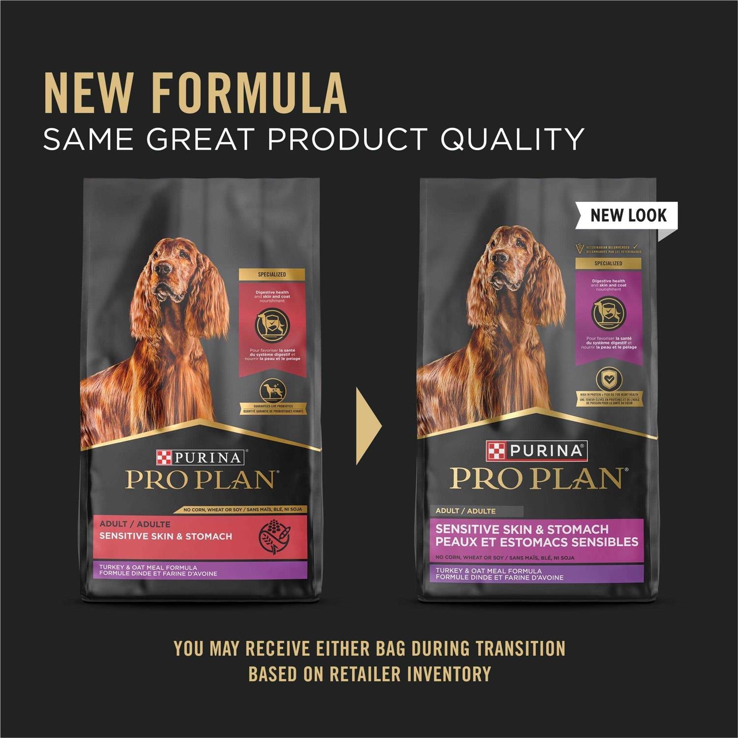 Dry Dog Food V228621