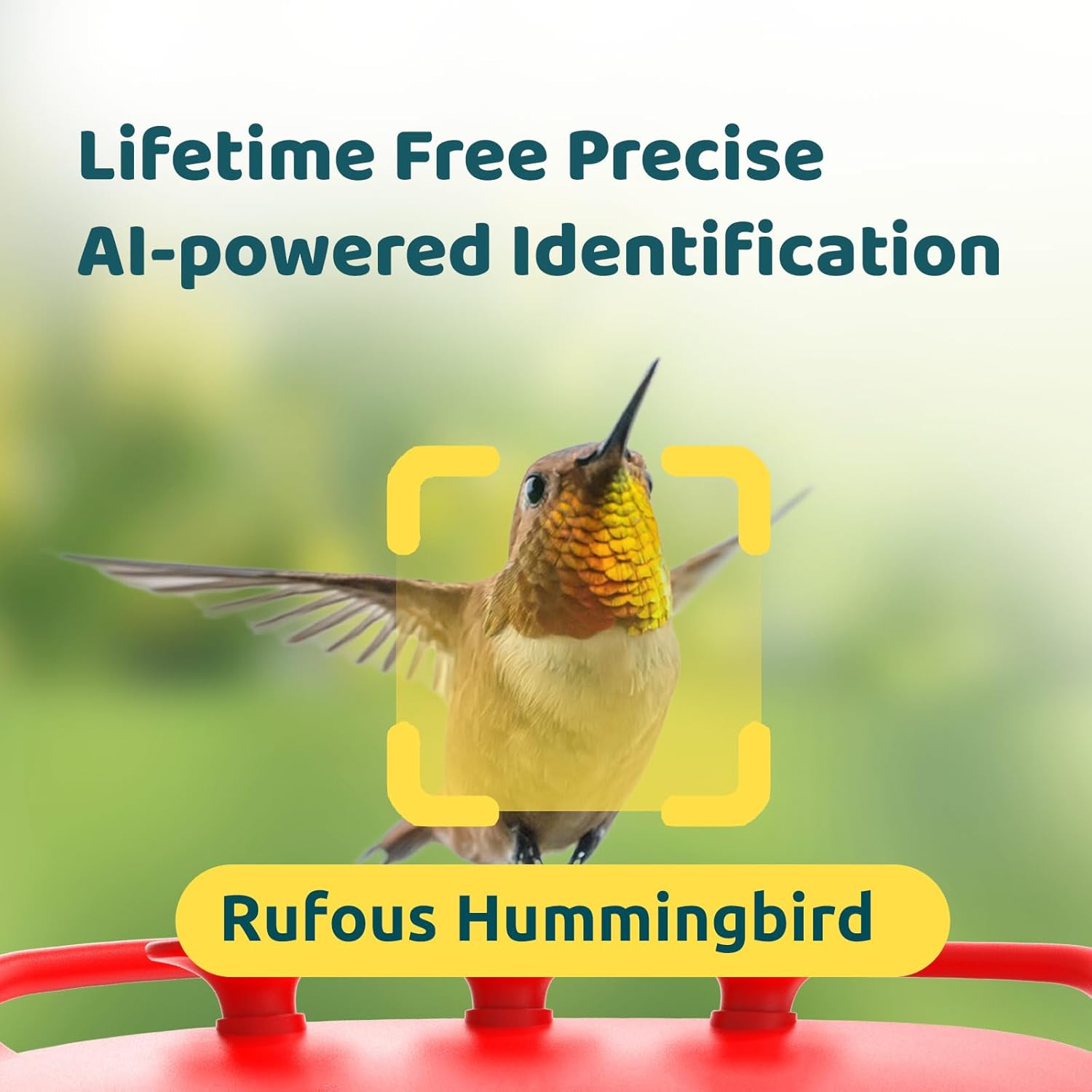 Hummingbird Feeder with Camera, 2K Dual Smart Cameras Solar Powered, 20 Ounces X124