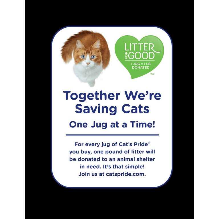 Scoopable Scented Lightweight Clumping Cat Litter Y410626