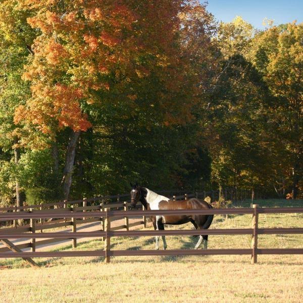 Brown 660 ft. Horse Fence Rail L7285