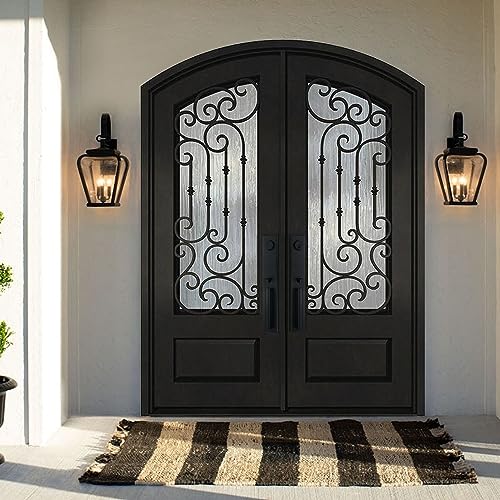 Matte Black Double Glazed Glass Iron Prehung Front Door A48912