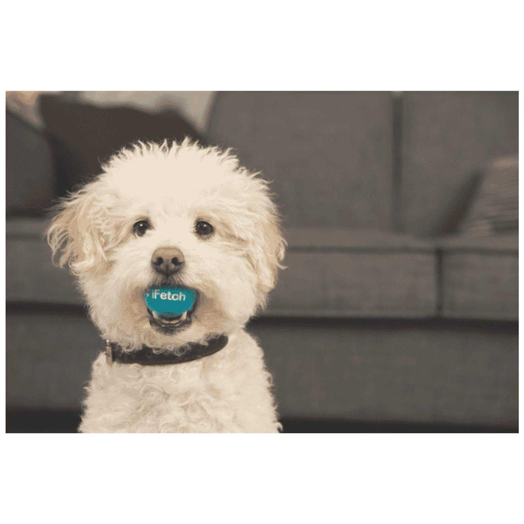 Interactive Dog Ball Launcher F75798