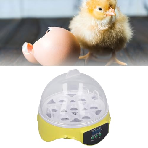 7 Egg Poultry Incubator with Temperature Control R945