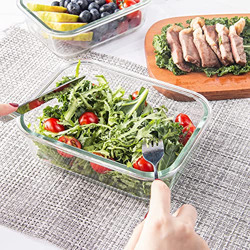 10 Pack Glass Food Storage Containers with Lids, Airtight, Leak Proof, Microwave & Freezer Safe (34oz & 12oz) J973