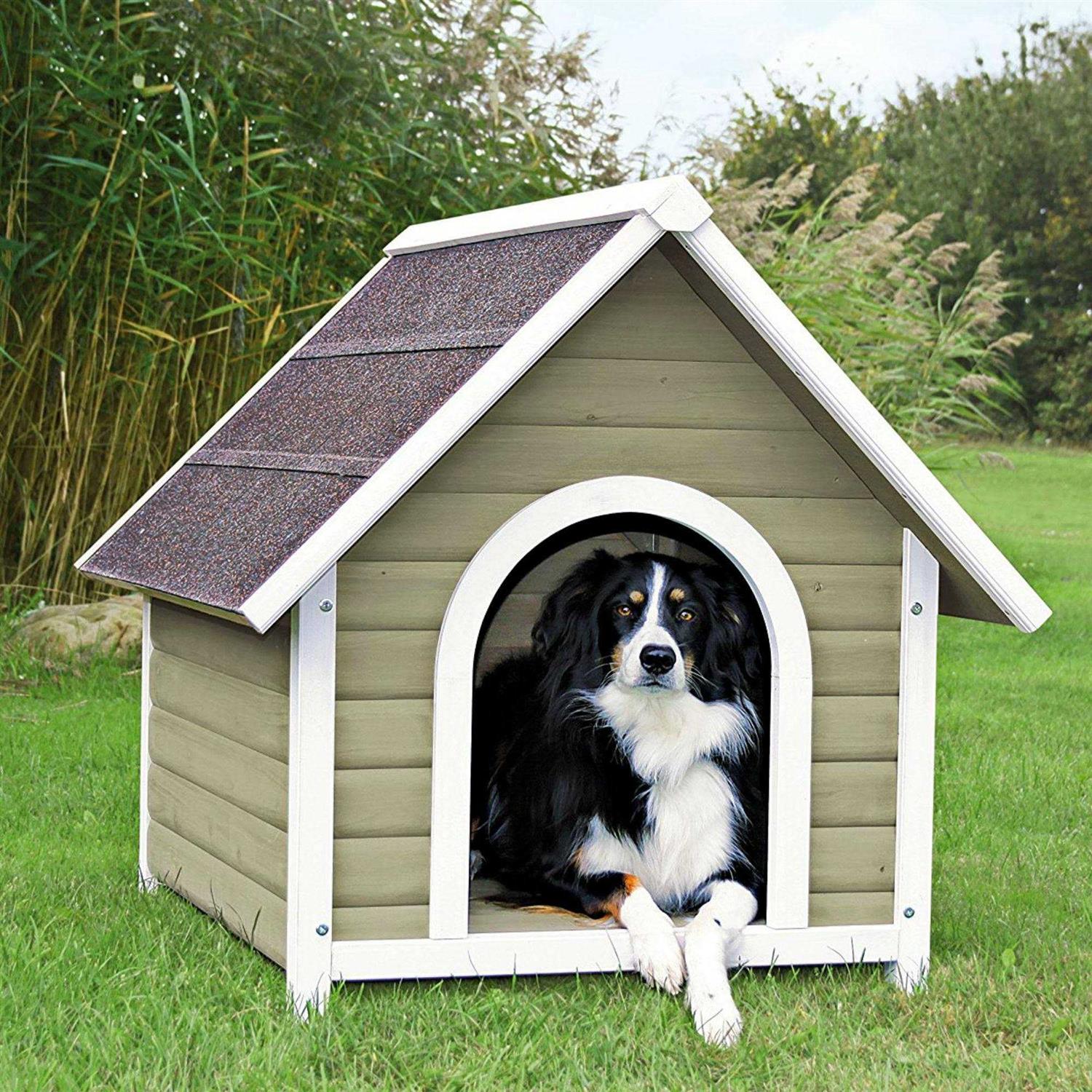 Dog House S259