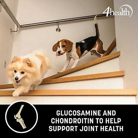 4health Wholesome Grains Adult Lamb and Rice Formula Dry Dog Food X47578