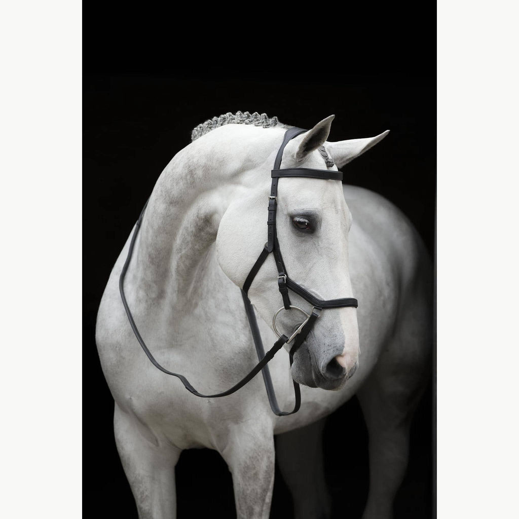 Competition Bridle X32544