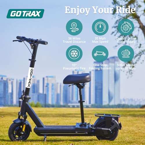 350/500W Motor Electric Scooter with 10" Pneumatic Tire Y99004