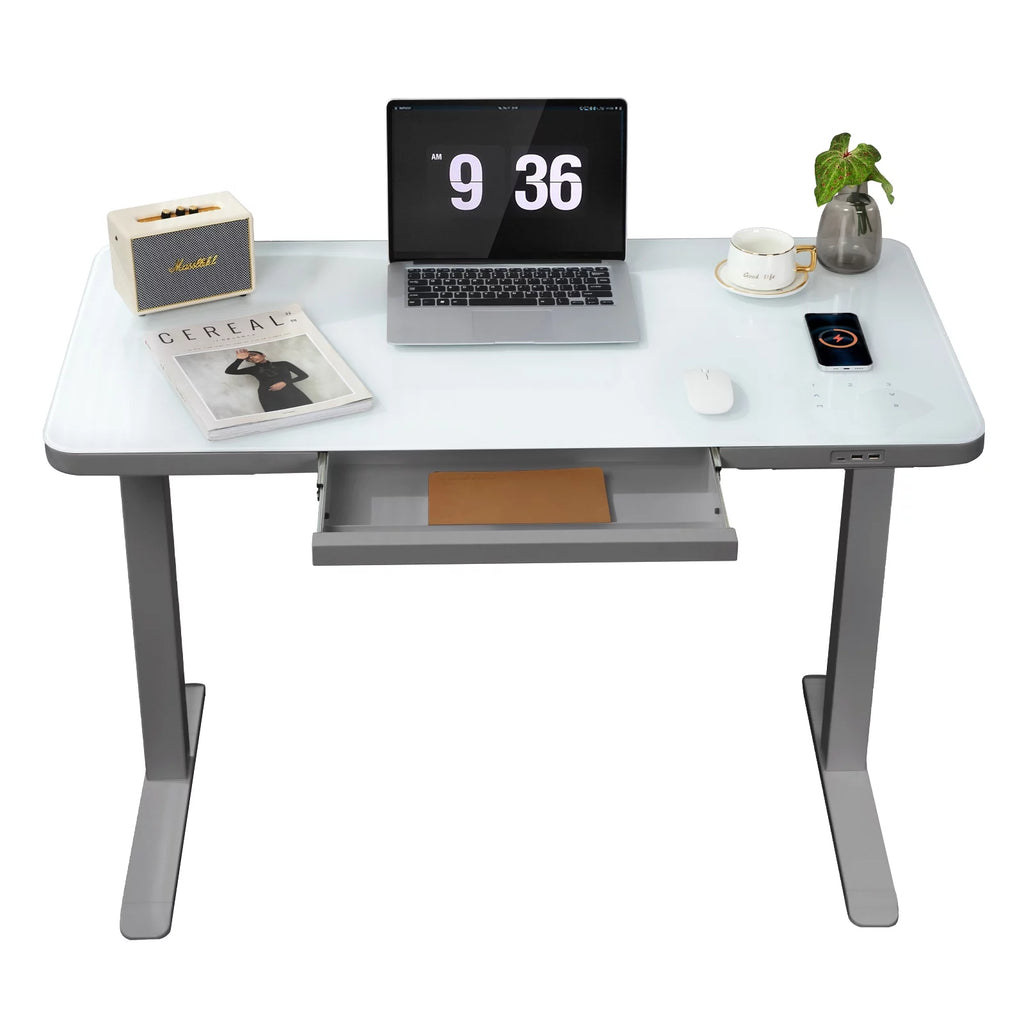 Gray Dual Motor Height Adjustable Desk with Drawer and Tempered Glass Top G69977
