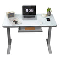 Gray Dual Motor Height Adjustable Desk with Drawer and Tempered Glass Top G69977