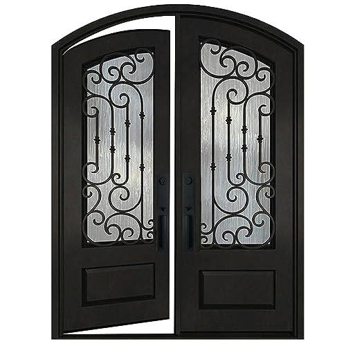 Matte Black Double Glazed Glass Iron Prehung Front Door A48912