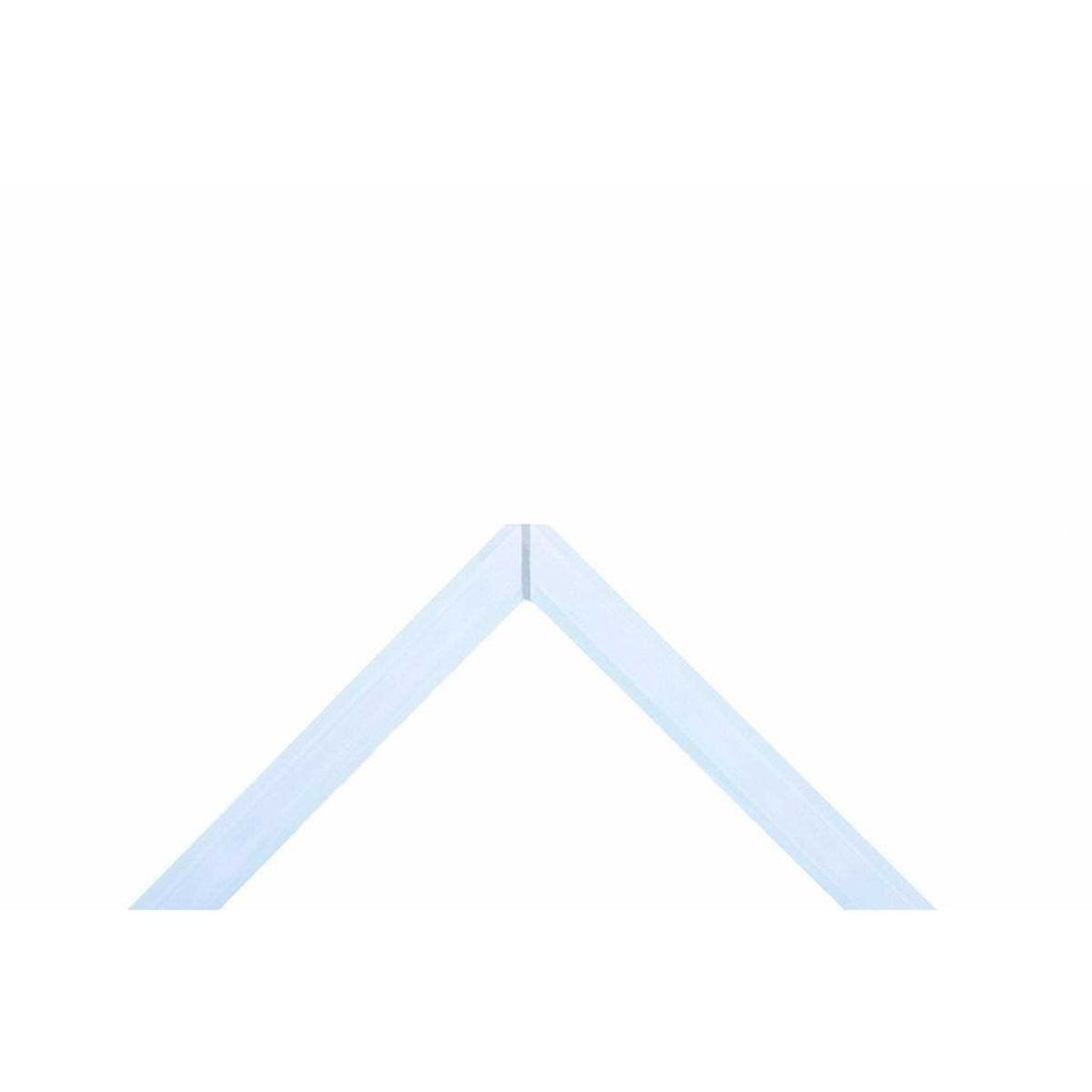 20 Gallon Ultra Clear Rimless Aquarium O2483