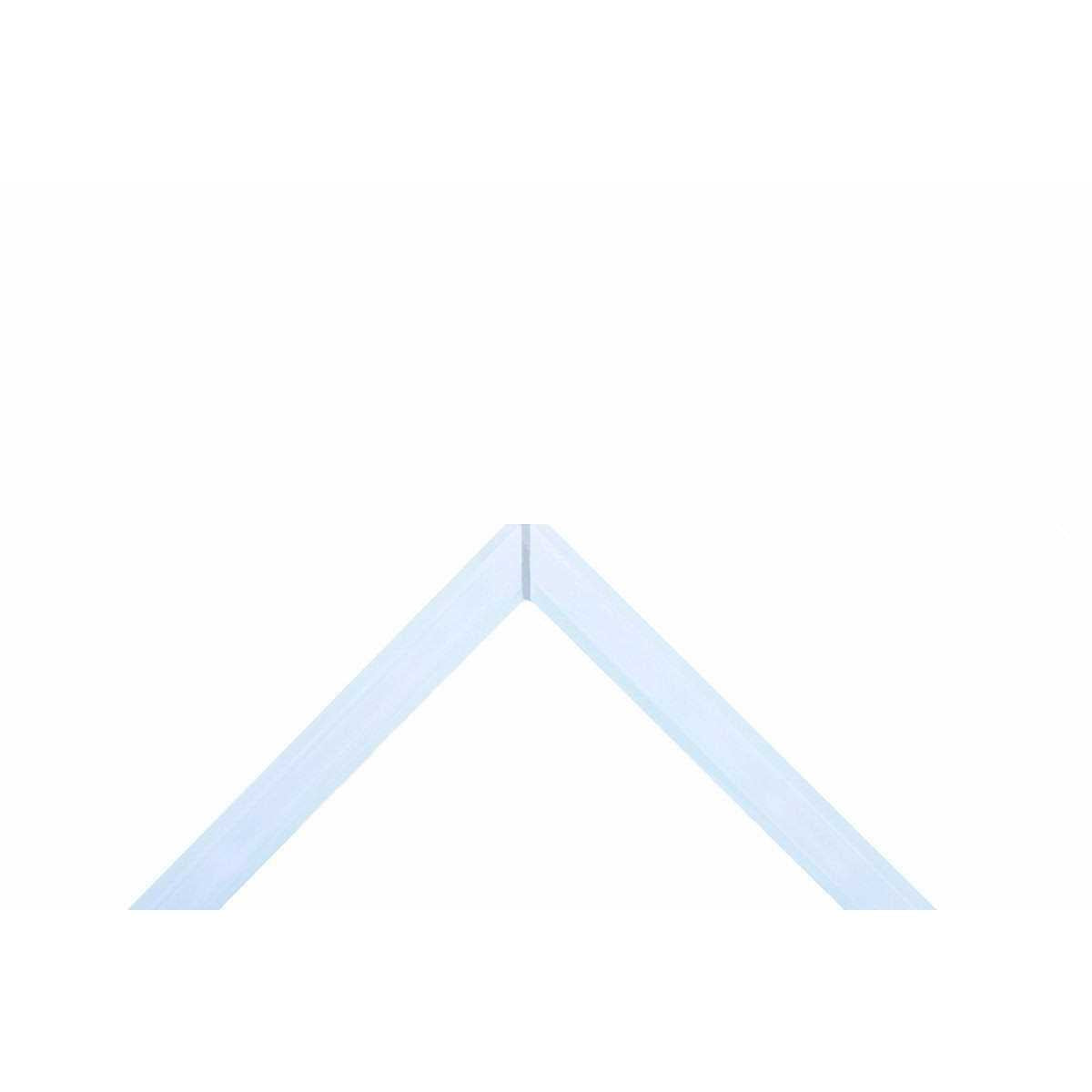 20 Gallon Ultra Clear Rimless Aquarium O2483