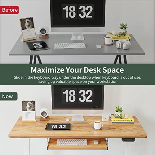 40 × 24 Inches Electric Height Adjustable Standing Desk P374