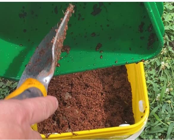 Worm Bucket Indoor Composting Kit X798176