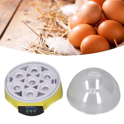 7 Egg Poultry Incubator with Temperature Control R945