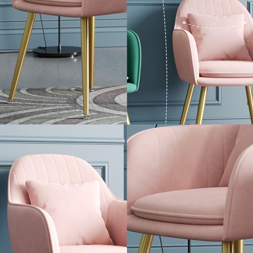 Leather Dining Chair with Backrest V7112