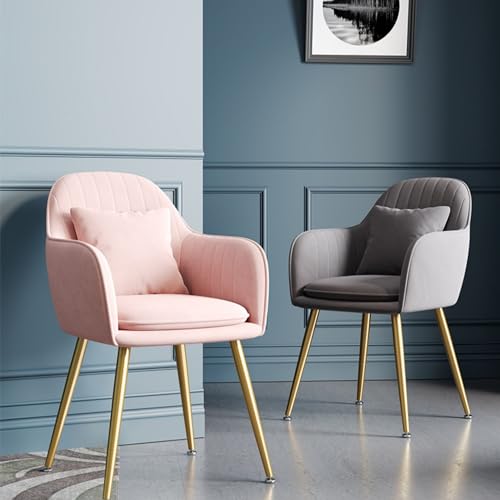 Leather Dining Chair with Backrest V7112