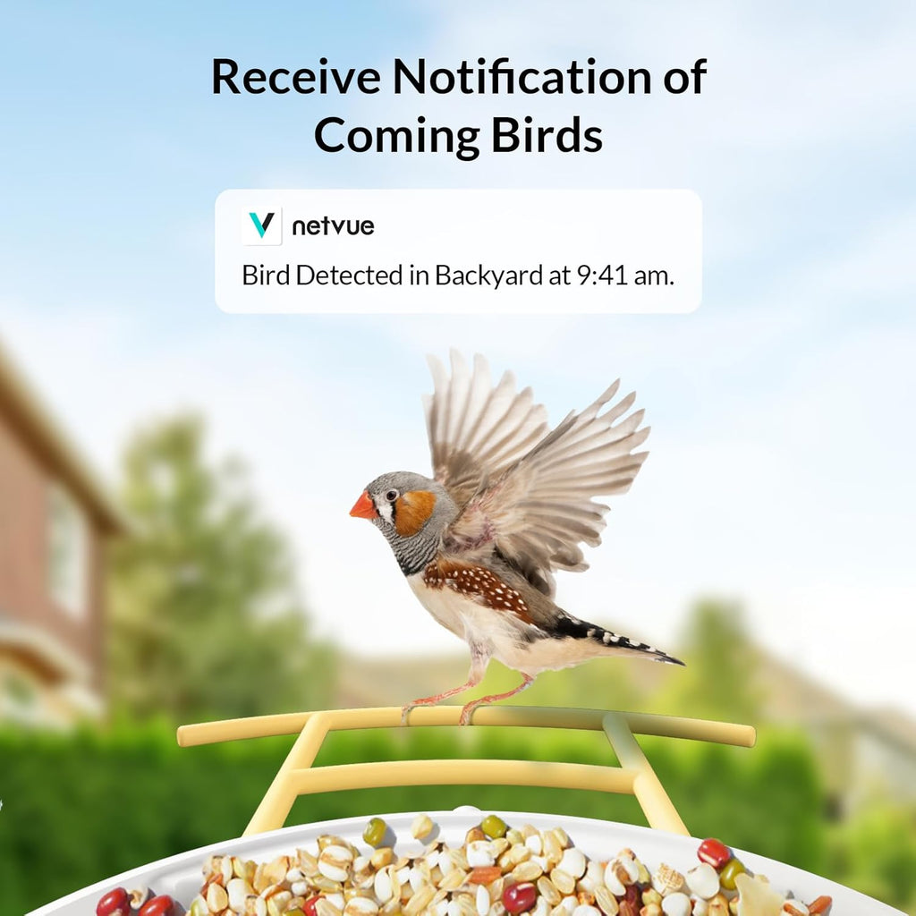 Birdfy Camera with Solar Panel and Pro Perch I7289