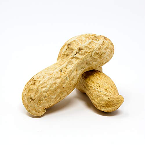 Raw Peanuts in Shell, 2.5 lb I926