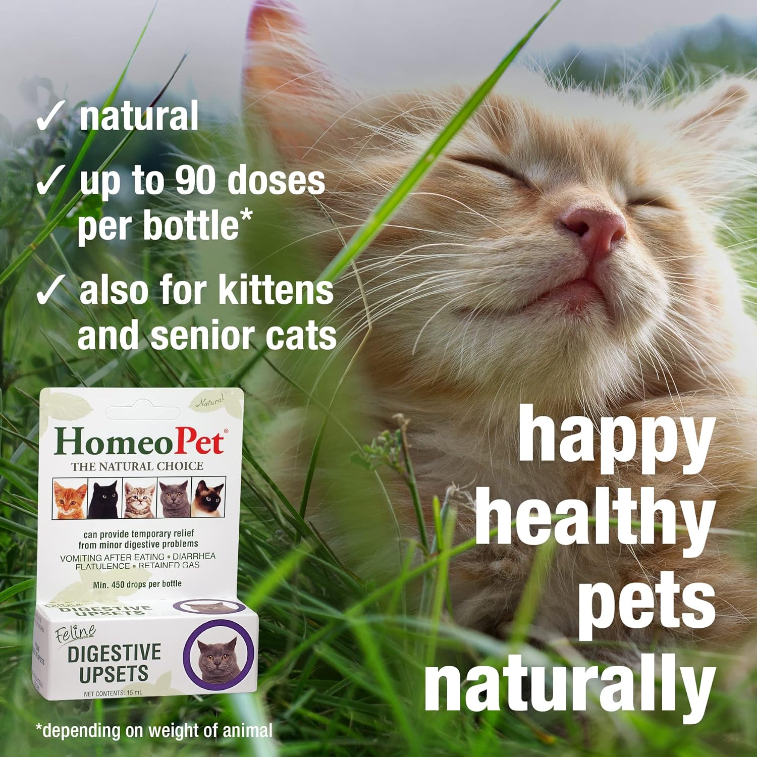 15 Milliliters Natural Pet Digestive Support T36330