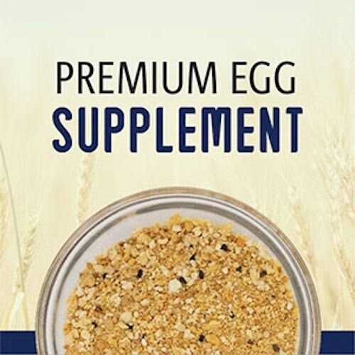 Egg Food Daily Supplement for Pet Birds H965105