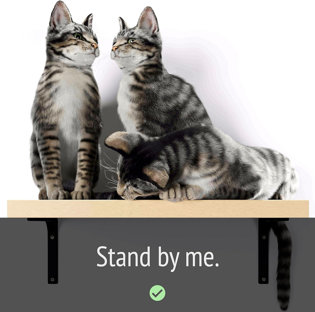 Cat Shelf Wall Furniture, 45-lb-tested-capacity, 16.75 x 10 x 1 in Wood Cat Tree, 1 pc. X406996