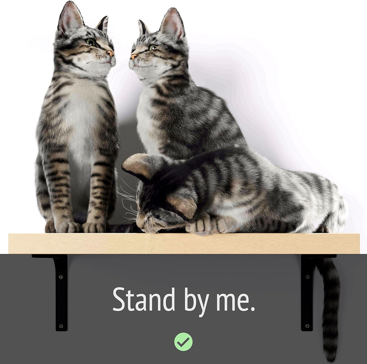 Cat Shelf Wall Furniture, 45-lb-tested-capacity, 16.75 x 10 x 1 in Wood Cat Tree, 1 pc. X406996