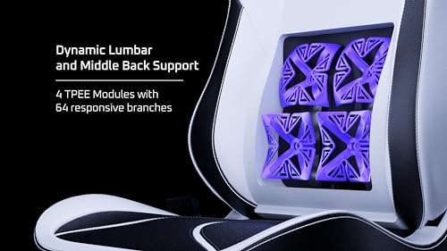 Black/White Ergonomic Gaming Chair T208707