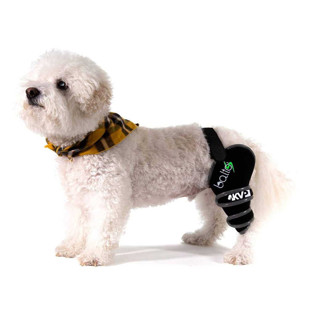 Knee Support for Dogs L6657