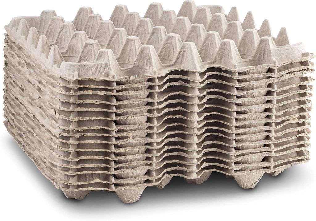 15 Pc Biodegradable Pulp Fiber Egg Cartons M4594