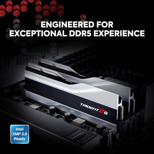 DDR5 RAM 32GB (2x16GB) 6000MT/s CL36-36-36-96 Metallic Silver Desktop Computer Memory T2431
