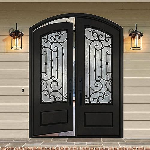 Matte Black Double Glazed Glass Iron Prehung Front Door A48912