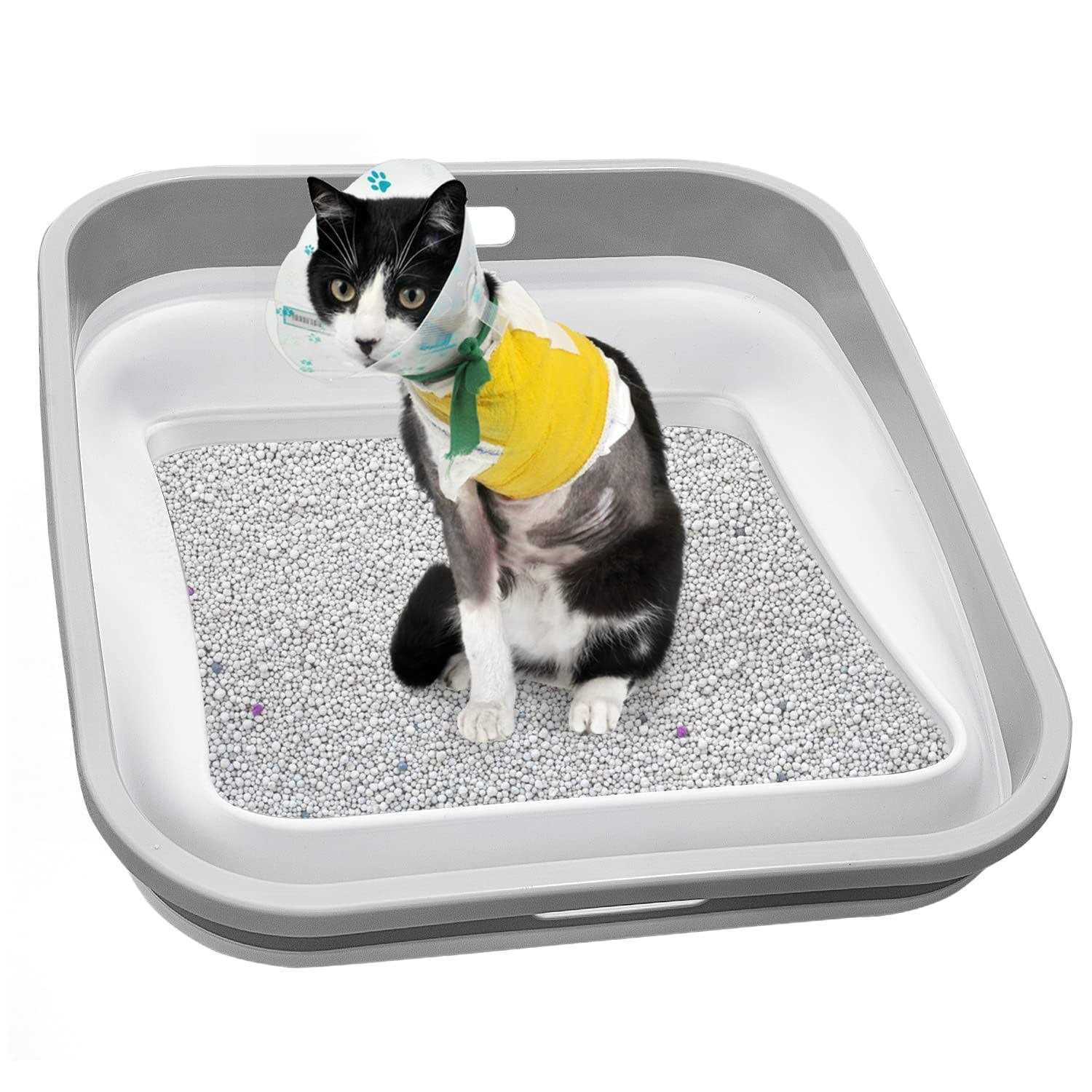 Senior Cat Litter Box Open Low Entry Z962536